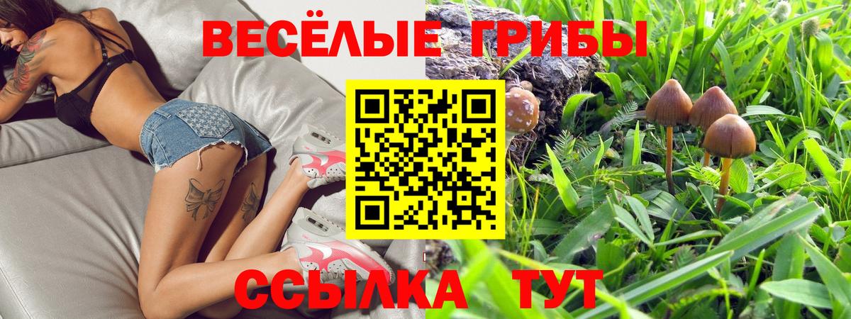 Жигулёвск  Псилоцибиновые грибы Psilocybine cubensis  Галлюциногенные грибы MAGIC MUSHROOMS  Вход с VPN 
